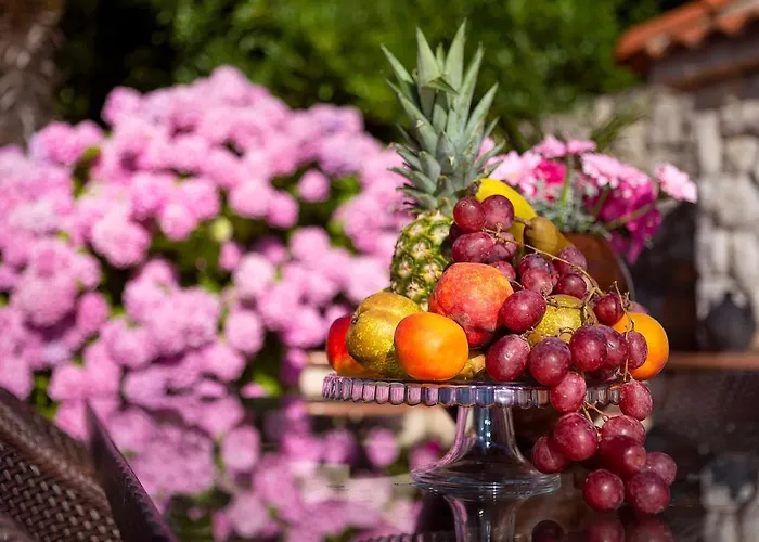 Klara 4* مالينسكا